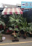 Chatuchak Flower Market