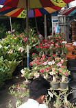 Chatuchak Flower Market