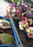 Chatuchak Flower Market