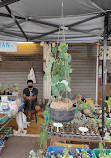 Chatuchak Flower Market