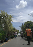 Chatuchak Flower Market