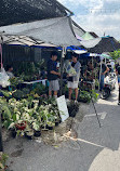 Chatuchak Flower Market