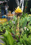 Chatuchak Flower Market