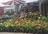 Chatuchak Flower Market