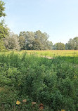 Parco del Meisin