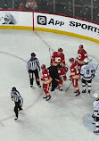 Scotiabank Saddledome