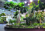 Devonian Gardens