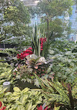 Devonian Gardens