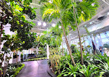 Devonian Gardens