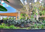 Devonian Gardens