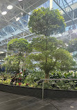 Devonian Gardens