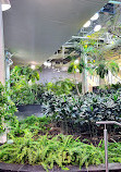 Devonian Gardens