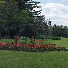 Riley Park Playground