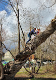 Riley Park Playground