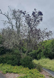 Huakaiwaka Visitor Centre-ABG