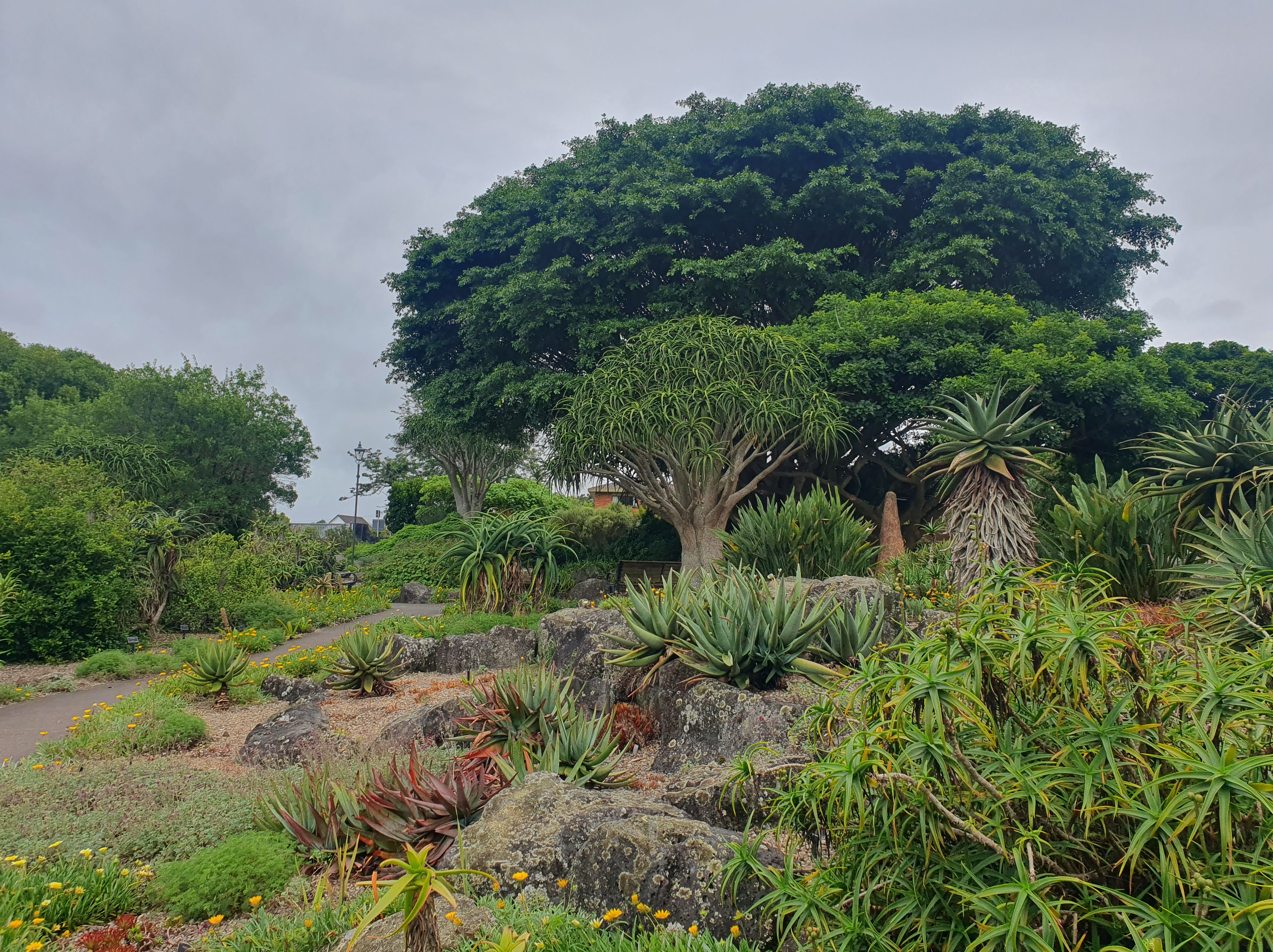 Huakaiwaka Visitor Centre-ABG