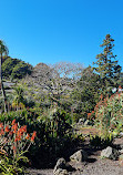 Huakaiwaka Visitor Centre-ABG