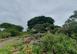 Huakaiwaka Visitor Centre-ABG