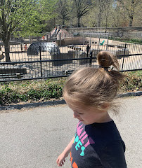 The Tarr Family Playground