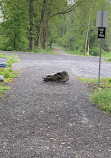 Letort Spring Run Nature Trail Trail