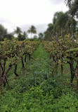 Sula Vineyards Point