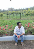 Sula Vineyards Point