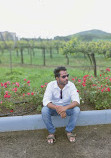 Sula Vineyards Point