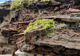 San Juan Islands National Monument