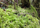 San Juan Islands National Monument