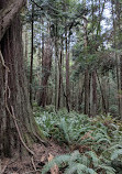 San Juan Islands National Monument