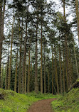 San Juan Islands National Monument