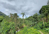 Vattappara Waterfalls