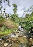 Vattappara Waterfalls