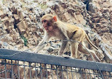 Hanuman Temple