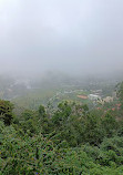 Upper Lake View