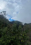 Vattakanal Waterfalls