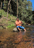 Vattakanal Waterfalls