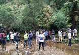 Vattakanal Waterfalls