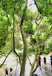 Vattakanal Waterfalls