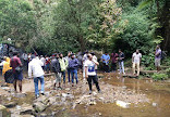 Vattakanal Waterfalls