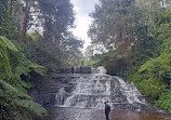 Vattakanal Waterfalls