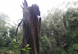 Vattakanal Waterfalls