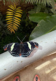 National Museum of Costa Rica