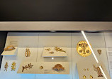 Museo de Oro Precolombino