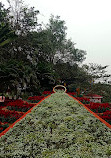 Odisha State Museum