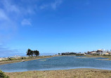 Golden Gate Beach