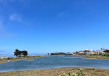 Golden Gate Beach