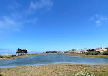 Golden Gate Beach