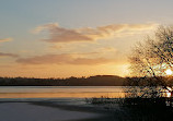 Deerpark Forest Walk