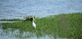 Seaside Wildlife Nature Park